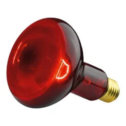 Beurer IL 11 100W Pære