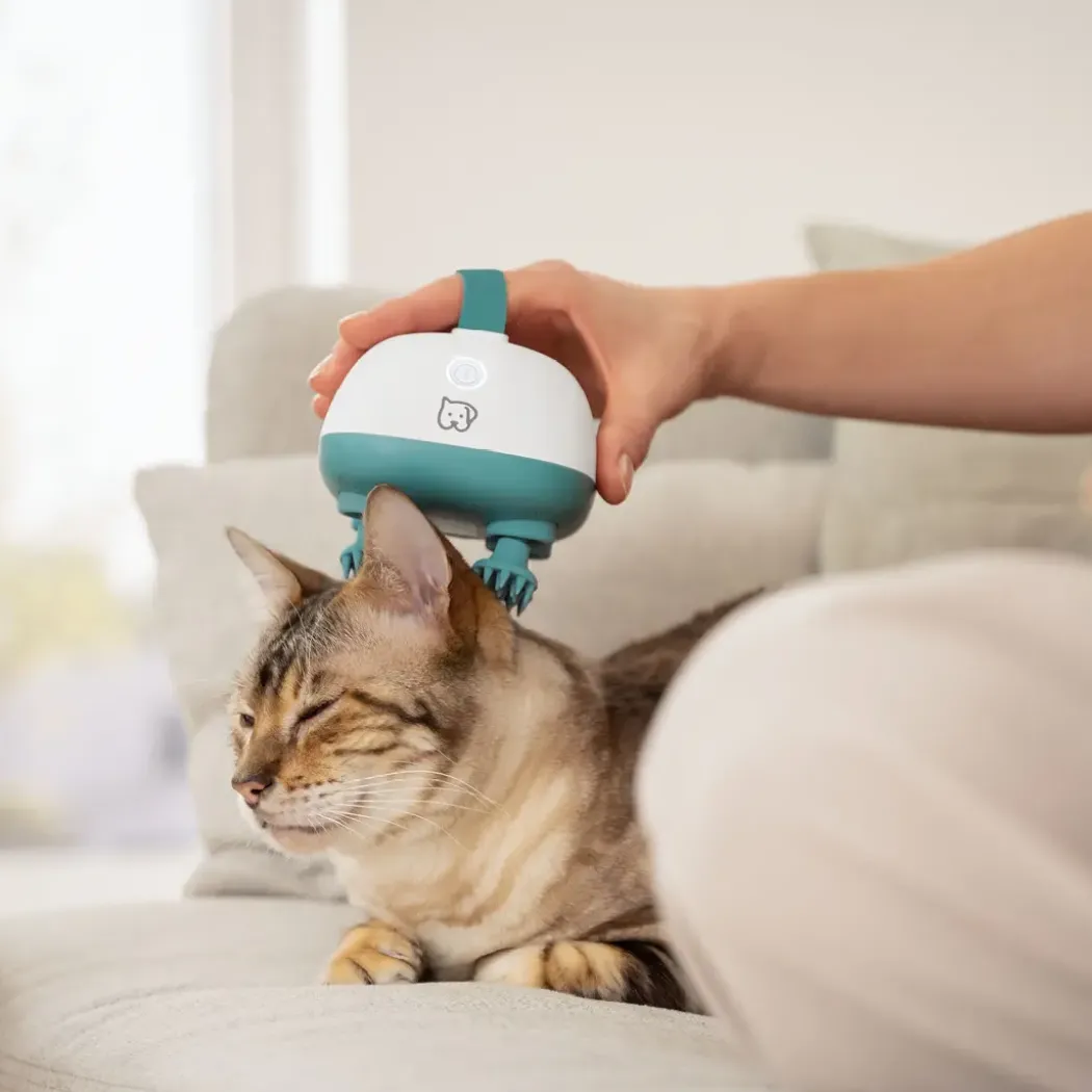 Beurer PP 410 Buddy massasjeapparat for hund og katt