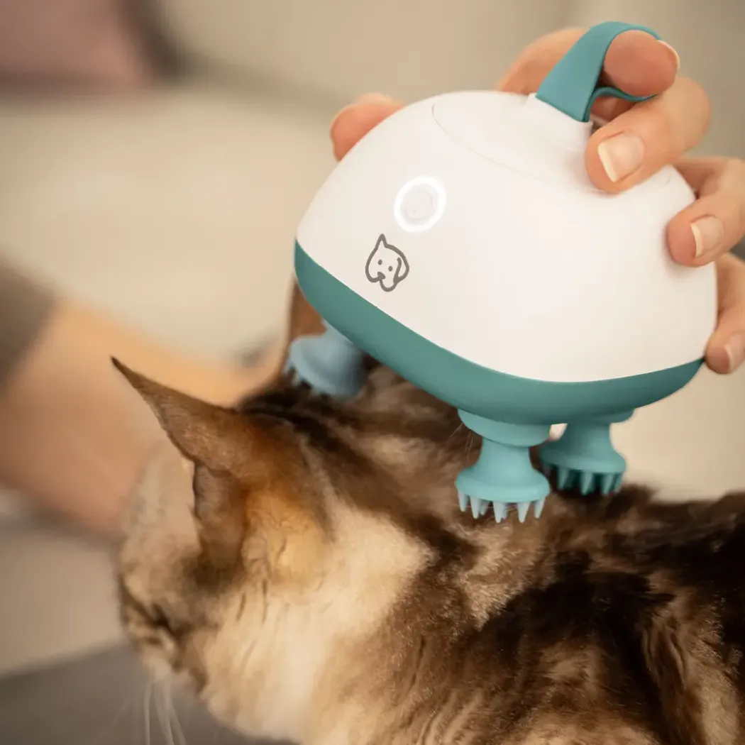 Beurer PP 410 Buddy massasjeapparat for hund og katt