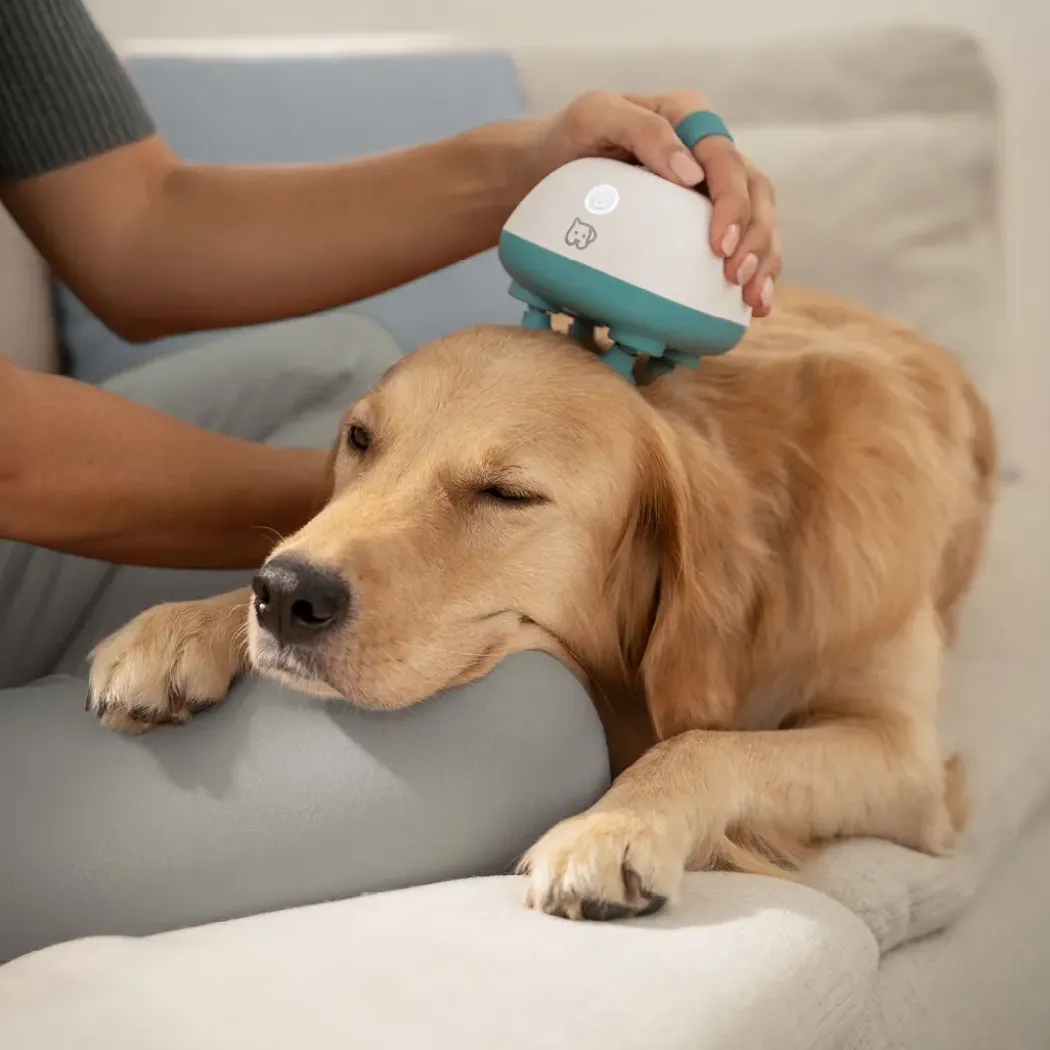Beurer PP 410 Buddy massasjeapparat for hund og katt