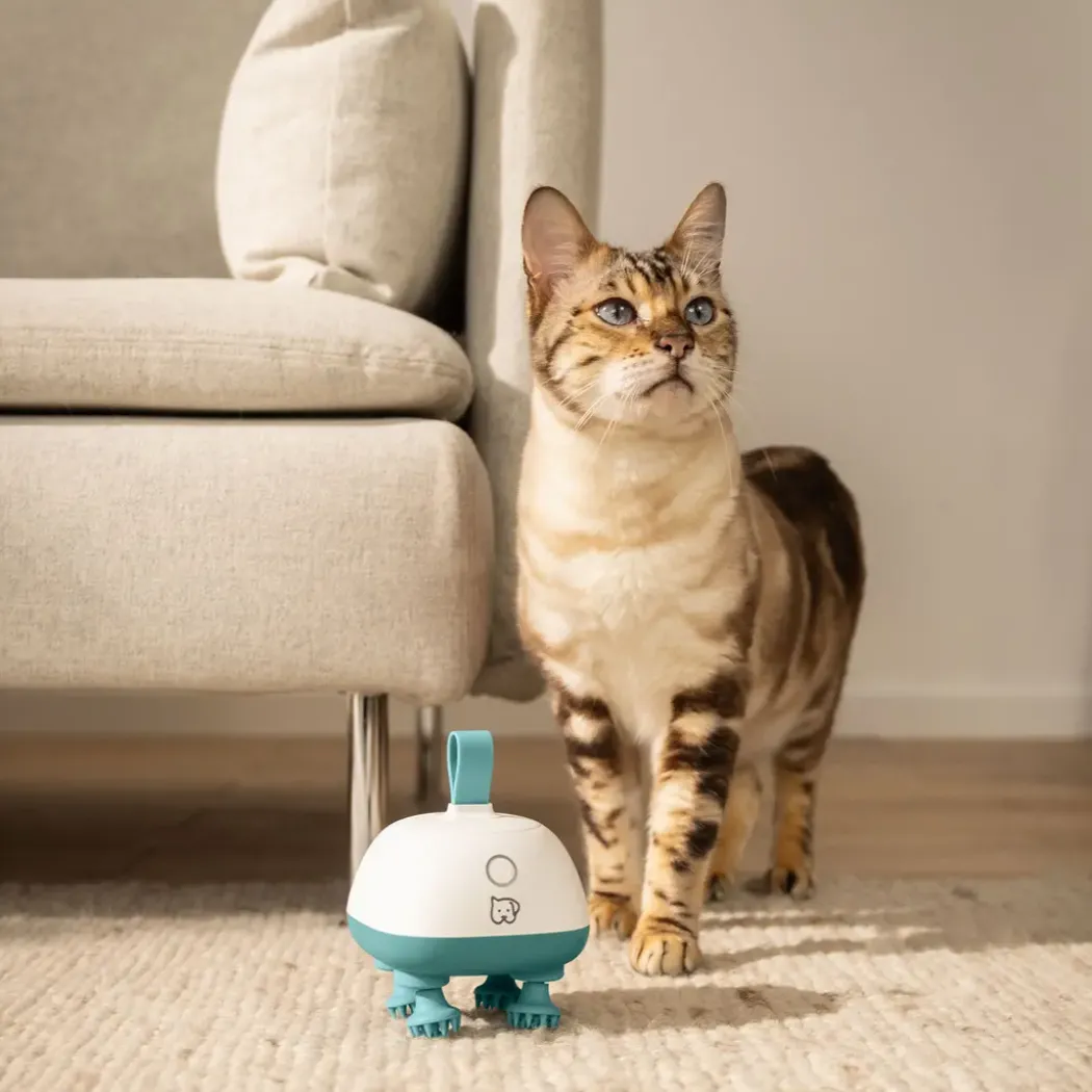 Beurer PP 410 Buddy massasjeapparat for hund og katt