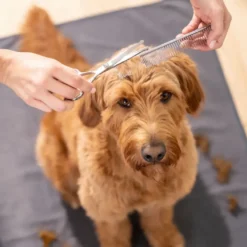 Beurer PP 110 Fluffy Klippemaskin for hund og katt