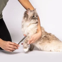 Beurer PP 110 Fluffy Klippemaskin for hund og katt