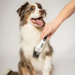 Beurer PP 110 Fluffy Klippemaskin for hund og katt