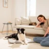 Beurer PP 220 Sammy varmematte for hund og katt, 65 × 50 cm