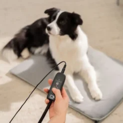 Beurer PP 220 Sammy varmematte for hund og katt, 65 × 50 cm