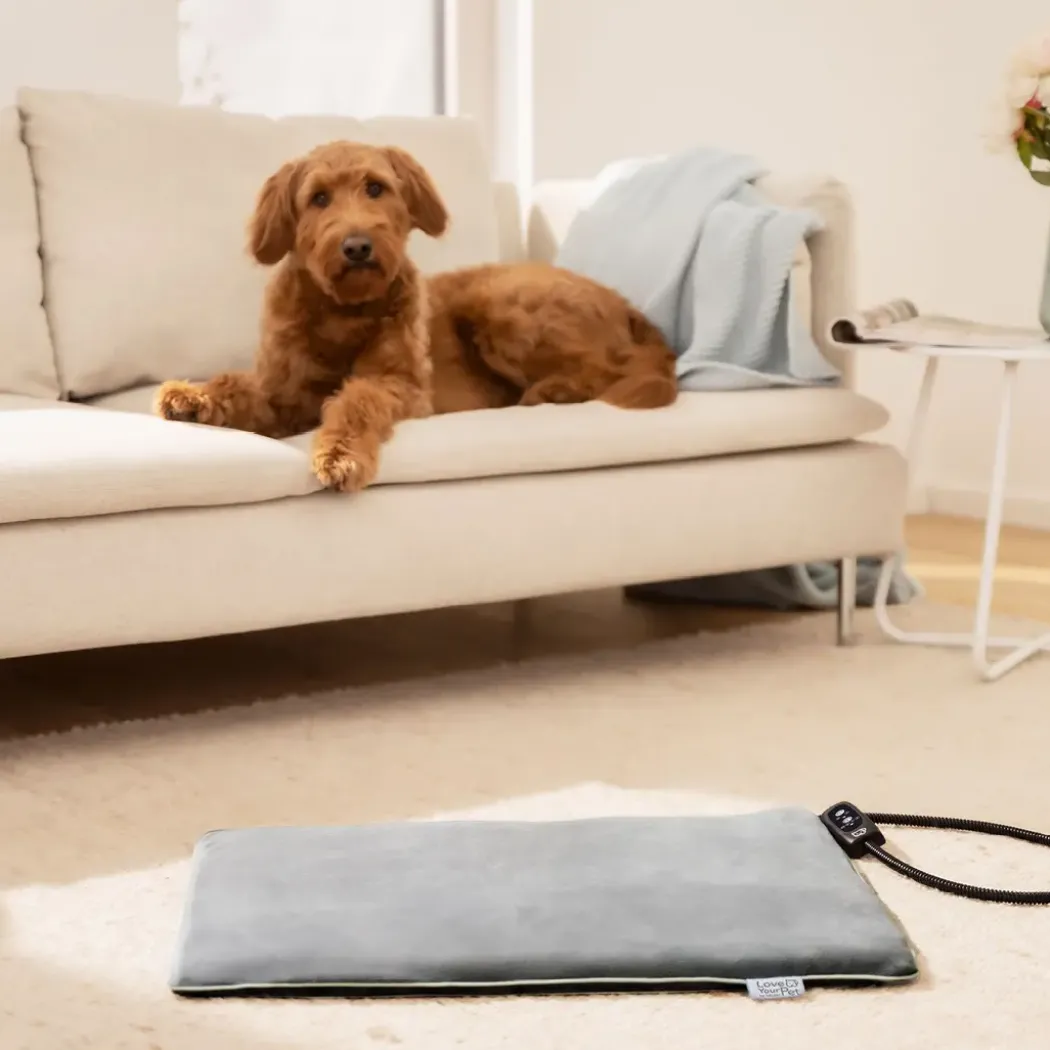Beurer PP 220 Sammy varmematte for hund og katt, 65 × 50 cm