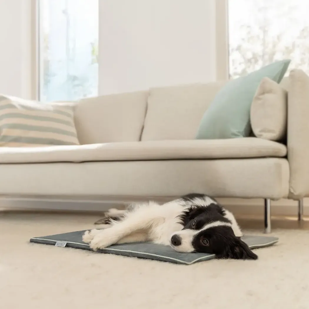 Beurer PP 220 Sammy varmematte for hund og katt, 65 × 50 cm