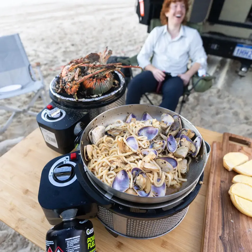 COBB Premier Gas Deluxe 2.0 bærbar gassgrill