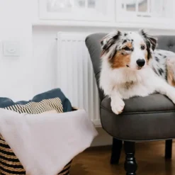 Miteless Home kjemikaliefri middbeskyttelse med ultralyd, grå