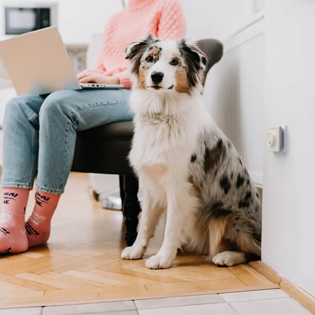 Miteless Home kjemikaliefri middbeskyttelse med ultralyd, beige