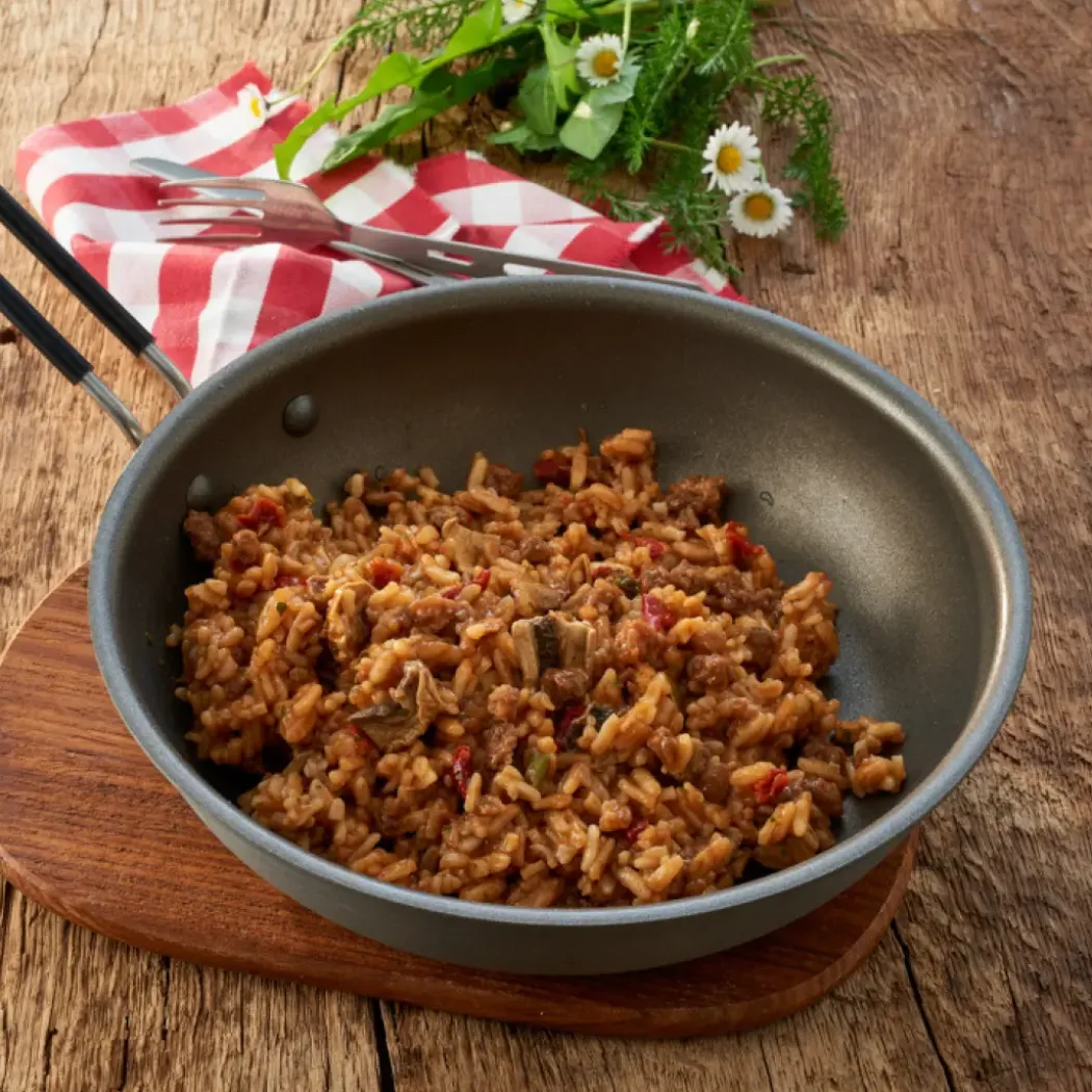 Trek’n Eat Biff Stroganoff med ris frysetørket turmat, 540g