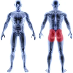 Vitility Fast sittering – Pute for trykkavlastning