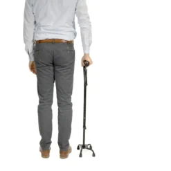 Vitility stokk med fire føtter, Quadro